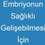 Embriyonun Sağlıklı Gelişebilmesi İçin Alınması Gereken Tedbirler