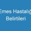 Emes Hastalığı Belirtileri