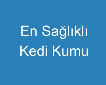 En Sağlıklı Kedi Kumu