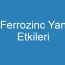 Ferrozinc Yan Etkileri