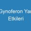 Gynoferon Yan Etkileri