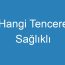 Hangi Tencere Sağlıklı