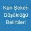 Kan Şekeri Düşüklüğü Belirtileri