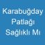 Karabuğday Patlağı Sağlıklı Mı