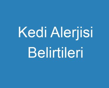 Kedi Alerjisi Belirtileri