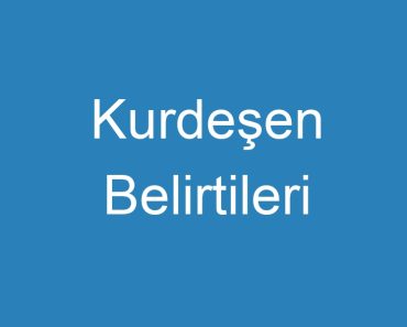 Kurdeşen Belirtileri