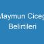 Maymun Cicegi Belirtileri