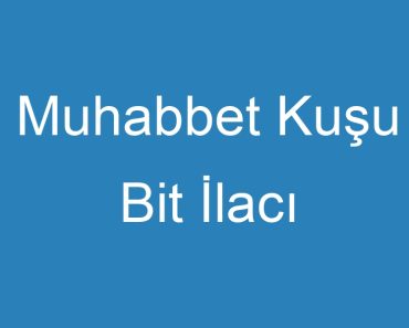 Muhabbet Kuşu Bit İlacı