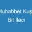 Muhabbet Kuşu Bit İlacı