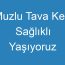 Muzlu Tava Keki Sağlıklı Yaşıyoruz