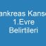 Pankreas Kanseri 1.Evre Belirtileri