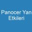 Panocer Yan Etkileri