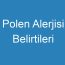 Polen Alerjisi Belirtileri