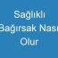 Sağlıklı Bağırsak Nasıl Olur