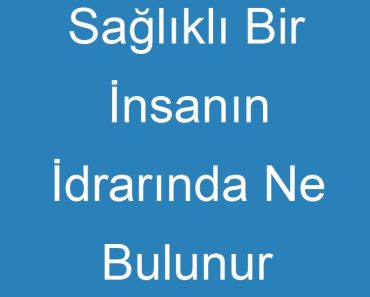 Sağlıklı Bir İnsanın İdrarında Ne Bulunur