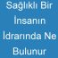 Sağlıklı Bir İnsanın İdrarında Ne Bulunur