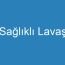 Sağlıklı Lavaş