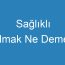 Sağlıklı Olmak Ne Demek