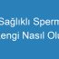 Sağlıklı Sperm Rengi Nasıl Olur