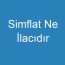 Simflat Ne İlacıdır