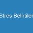 Stres Belirtileri