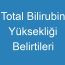 Total Bilirubin Yüksekliği Belirtileri