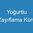 Yoğurtlu Zayıflama Kürü