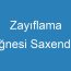 Zayıflama İğnesi Saxenda