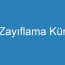 Zayıflama Kür