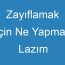 Zayıflamak İçin Ne Yapmak Lazım