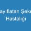 Zayıflatan Şeker Hastalığı