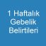 1 Haftalık Gebelik Belirtileri