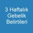 3 Haftalık Gebelik Belirtileri