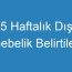 5 Haftalık Dış Gebelik Belirtileri