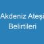 Akdeniz Ateşi Belirtileri