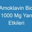 Amoklavin Bid 1000 Mg Yan Etkileri