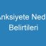 Anksiyete Nedir Belirtileri