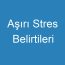 Aşırı Stres Belirtileri