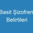 Basit Şizofreni Belirtileri