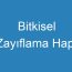 Bitkisel Zayıflama Hapı