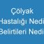 Çölyak Hastalığı Nedir Belirtileri Nedir