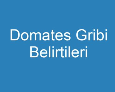 Domates Gribi Belirtileri