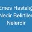 Emes Hastalığı Nedir Belirtileri Nelerdir