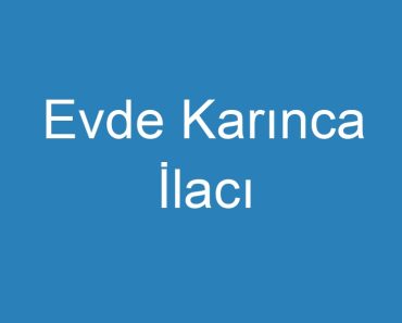 Evde Karınca İlacı