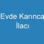 Evde Karınca İlacı