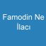 Famodin Ne İlacı