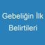 Gebeliğin İlk Belirtileri