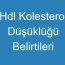 Hdl Kolesterol Düşüklüğü Belirtileri