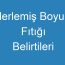 Ilerlemiş Boyun Fıtığı Belirtileri