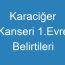 Karaciğer Kanseri 1.Evre Belirtileri